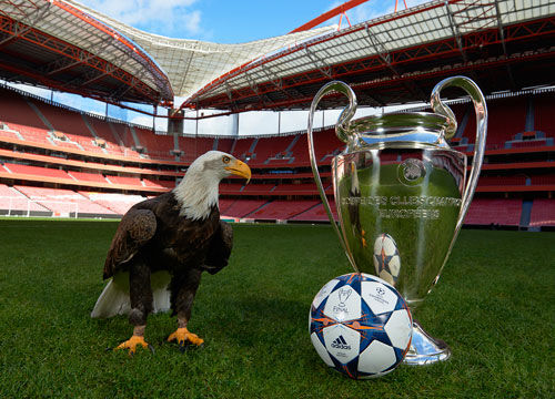 篮球CBA赛场精彩进攻合集